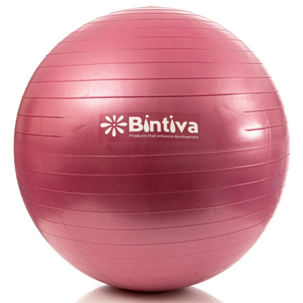 Bintiva Swiss Exercise Ball