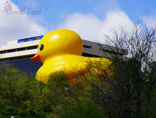 Photo Image Picture "Yellow Giant Duck" VLI-49