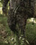Asio Midweight Bomb Pant RAP-L