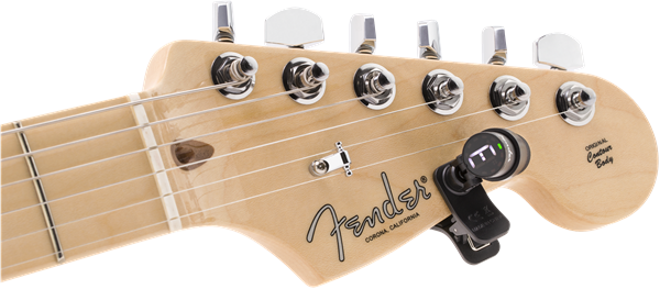Fender