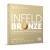 Thomastik-Infeld Infeld Bronze Acoustic Guitar Strings; gauges 12-53