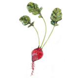 Embroidered and Beaded Red Radish Brooch, Handmade by Trovelore of India