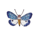 Embroidered and Beaded Neochera Moth Brooch, Handmade by Trovelore of India