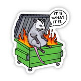 "It Is What It Is" Possum Dumpster Fire -  Matte Sticker