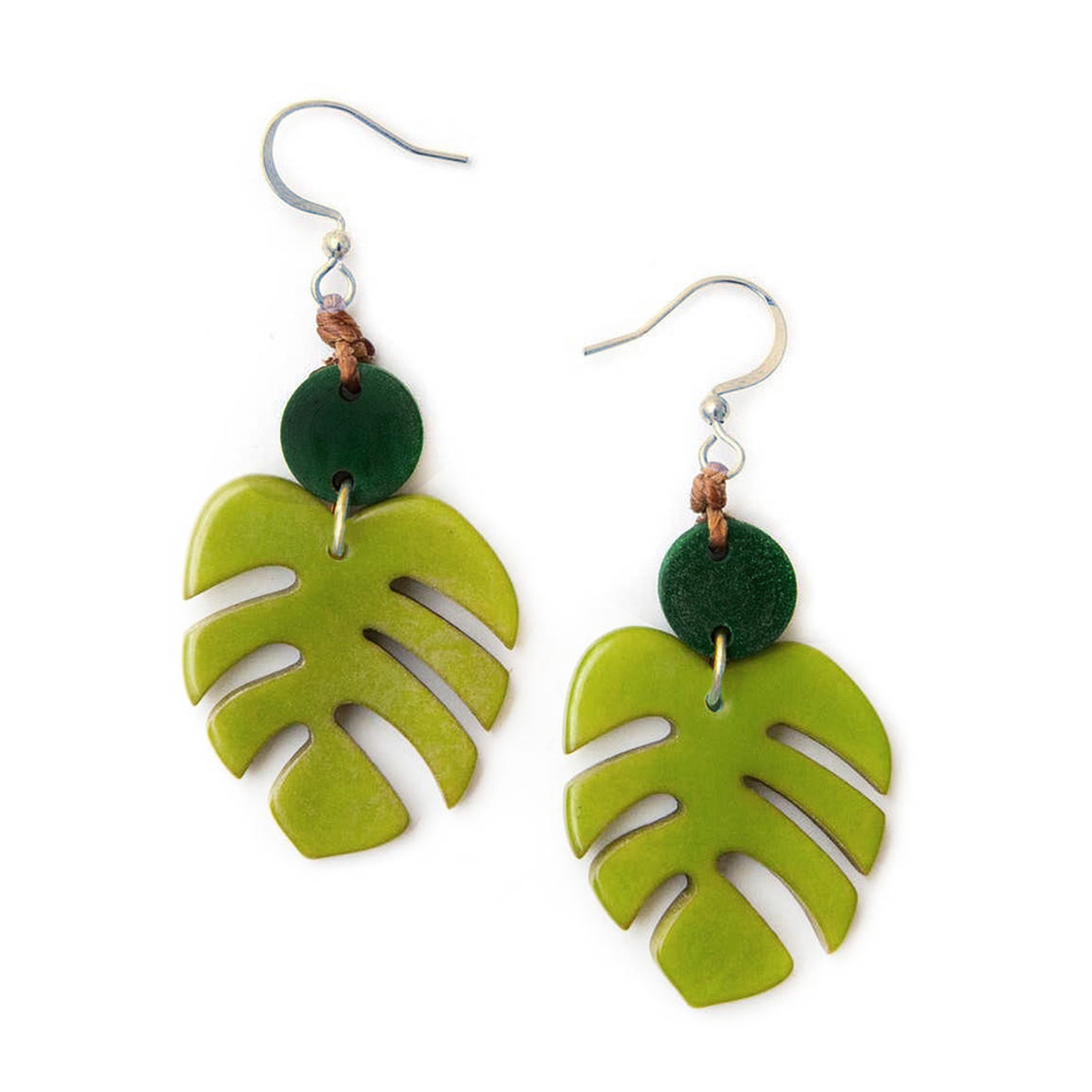 philodendron amazon spirit Philodendron Amazon Spirit main image 0