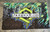 3'x5' Green SoundQubed Banner 2025