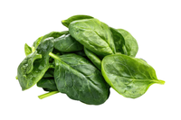 Organic Spinach - lb