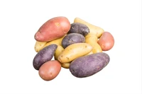 Organic Fingerling Potato Medley - lb