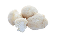 Lions Mane Mushrooms