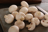 Organic White Button Mushrooms - 8 oz