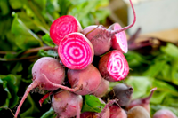 Organic Chioggia Beets - lb