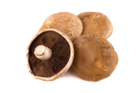 Portabella Mushroom - lb