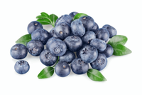 Organic Blueberries - 1/2 pint