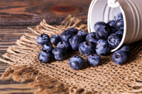 Organic Blueberries - pint