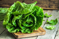 Organic Romaine Lettuce