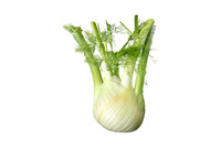 Fennel