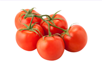 Organic On Vine Tomatoes - lb