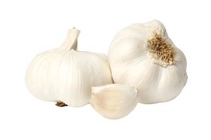 Organic Colossal Garlic
