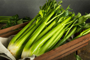 Celery