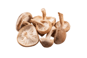 Local Shiitake Mushrooms - 8 oz