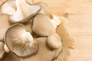 Local Oyster Mushrooms - 8 oz