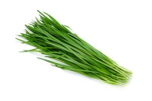 Local Garlic Chives - bunch