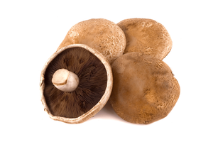 Portabella Mushroom - lb