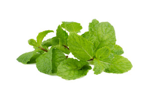 Mint