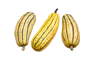 Organic Delicata Squash - lb