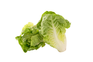Organic Little Gem Lettuce - each