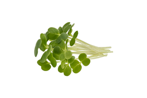 Local Broccoli Microgreens - 2 oz