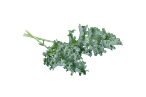 Jayleaf Organic Baby Kale - 5 oz