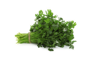 Cilantro Bunch