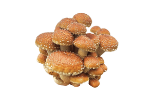 Local Chestnut Mushrooms - 8 oz