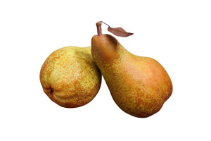 Abate Fetel Pear