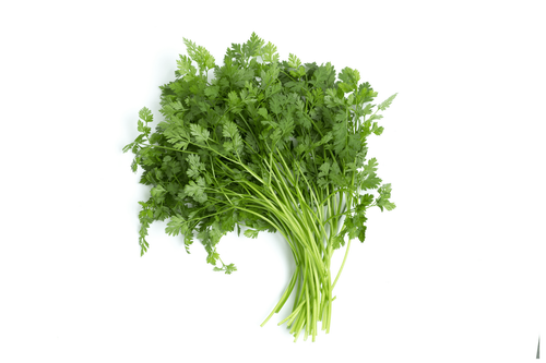 Organic Italian Parsley - bunch