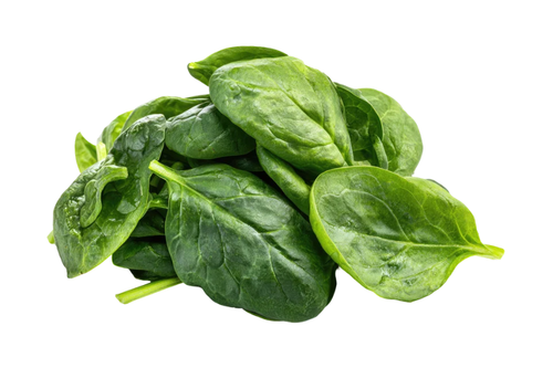 Organic Spinach - lb