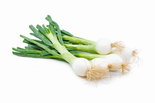 Organic Spring Onion - bunch