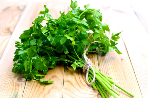 Local Parsley - bunch