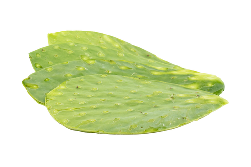 Organic Cactus Nopal - lb
