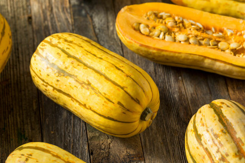 Local Delicata Squash