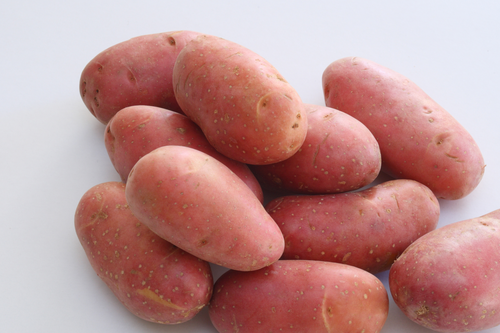 Organic Red Potatoes - lb