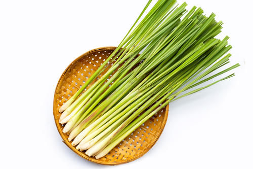 Organic Lemon Grass - oz