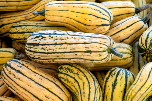 Organic Delicata Squash - lb
