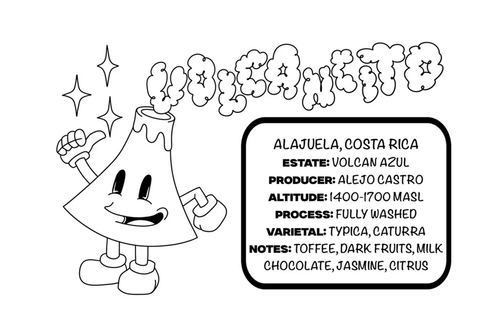 Picacho Volcancito Mexico Whole Bean Coffee  - 12 oz