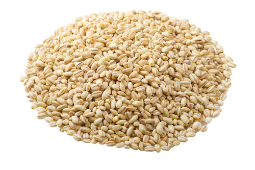 Organic Barley - lb