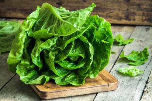 Organic Romaine Lettuce