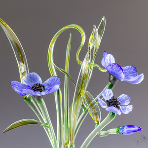 An elegant arrangement of blue wildflowers on long green stems and flowing green leaves. The translucent glass allows light to filter into the arrangement and create beautiful sparkles. The vibrant blue blooms bring joy to any room they will be placed An elegant arrangement of blue wildflowers on long green stems and flowing green leaves. The translucent glass allows light to filter into the arrangement and create beautiful sparkles. The vibrant blue blooms bring joy to any room they will be placed