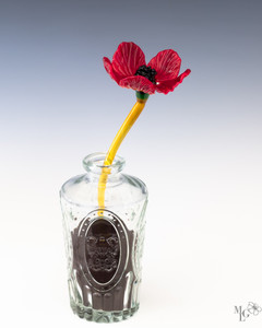 Single deep red wildflower, it’s petals like the richest crimson, unfurling towards the sun. The stem is a slender reed of translucent amber. Light filters through the stem giving it a glowing quality. Single deep red wildflower, it’s petals like the richest crimson, unfurling towards the sun. The stem is a slender reed of translucent amber. Light filters through the stem giving it a glowing quality.