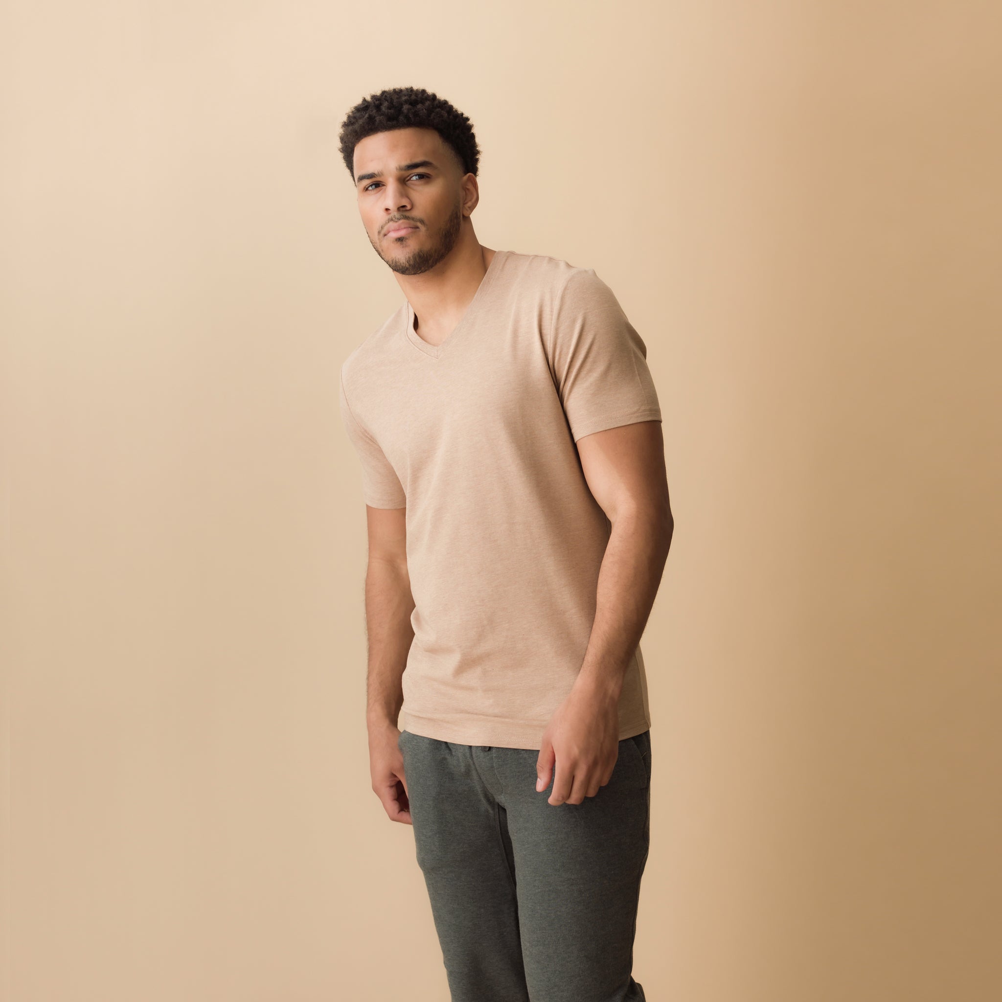 トップス 6 COTTON JACQUARD V NECK 5SLEEVE SHIRT Men's Classic V-Neck T-Shirt | Premium Sustainable Cotton | Proto101